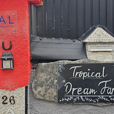 Tropical Dream Farm Hotell Vouzela Eksteriør bilde