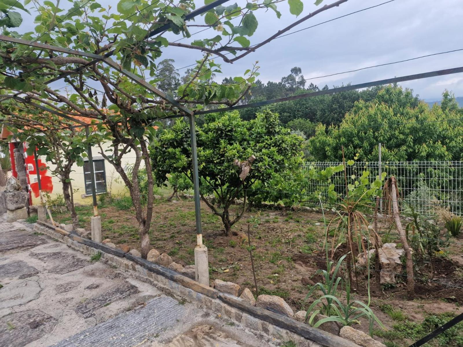 Tropical Dream Farm Hotell Vouzela Eksteriør bilde